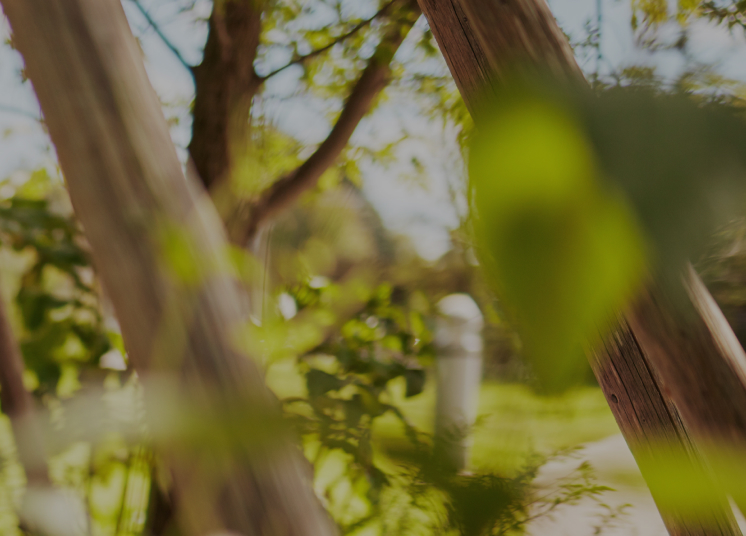 Planet: Conserving the nature that inspires us.